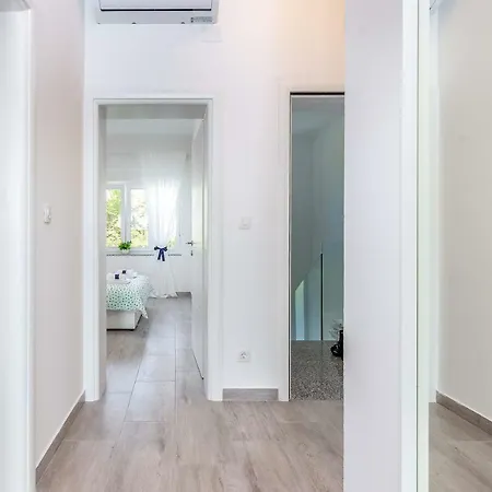 Veronique 德拉马利