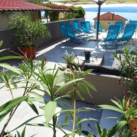 Veronique דראמליי