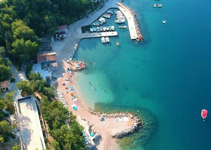 Veronique * 드라말리